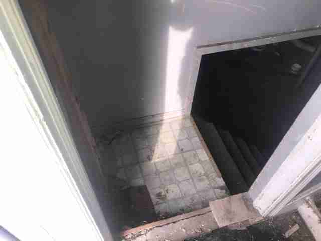 Testing again(43).jpg